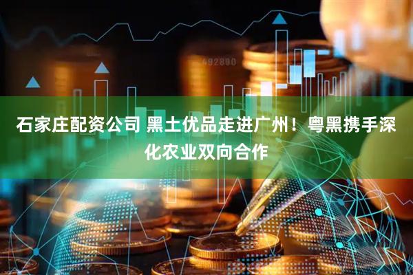 石家庄配资公司 黑土优品走进广州！粤黑携手深化农业双向合作